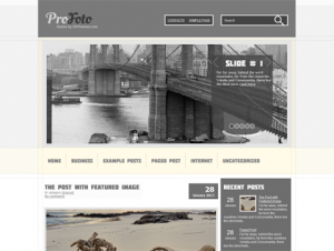 ProFoto Free WordPress Photography Theme