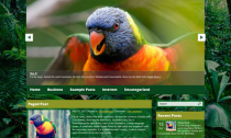 Parrot Premium Free Wordpress Nature Theme