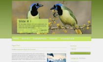 FastSnail Premium Free Wordpress Nature Theme
