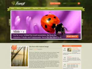 Forest Free WordPress Theme