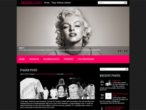 Modelling Free WordPress Fashion Theme